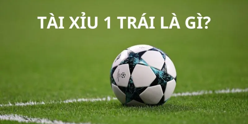 Đọc hiểu kèo 1 trái chi tiết nhất